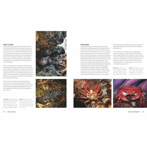 CRABS. A GLOBAL NATURAL HISTORY 4