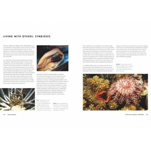 CRABS. A GLOBAL NATURAL HISTORY 6