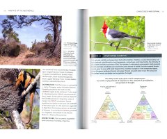 HABITATS OF THE WORLD. A FIELD GUIDE FOR BIRDERS, NATURALISTS, AND ECOLOGISTS_1