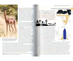 HABITATS OF THE WORLD. A FIELD GUIDE FOR BIRDERS, NATURALISTS, AND ECOLOGISTS 4