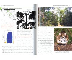 HABITATS OF THE WORLD. A FIELD GUIDE FOR BIRDERS, NATURALISTS, AND ECOLOGISTS 5