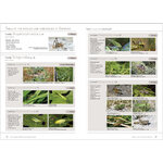 GRASSHOPPERS OF BRITAIN AND WESTERN EUROPE. A PHOTOGRAPHIC GUIDE 4