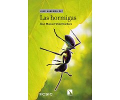 LAS HORMIGAS. ¿QUÉ SABEMOS DE?