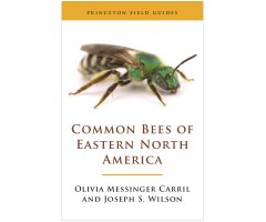 PRINCETON FIELD GUIDES COMMON BEES OF EASTERN NORTH AMERICA