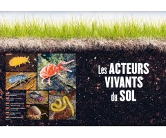 LA VIE DU SOL DE NOS JARDINS 2