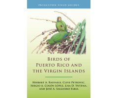 PRINCETON FIELD GUIDES BIRDS OF PUERTO RICO AND THE VIRGIN ISLANDS