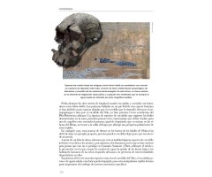 COEXISTENCIA. UN VIAJE POR LAS RELACIONES ENTRE CARNÍVOROS Y HUMANOS 3