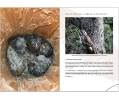 MANUAL PARA LA GESTIÓN DEL HÁBITAT DEL MOCHUELO BOREAL 3