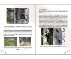 MANUAL PARA LA GESTIÓN DEL HÁBITAT DEL MOCHUELO BOREAL 4