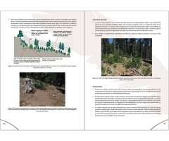 MANUAL PARA LA GESTIÓN DEL HÁBITAT DEL MOCHUELO BOREAL 5
