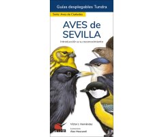 AVES DE SEVILLA. INTRODUCCIÓN A SU RECONOCIMIENTO. GUÍAS DESPLEGABLES TUNDRA