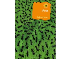 ANTS. THE ULTIMATE SOCIAL INSECTS