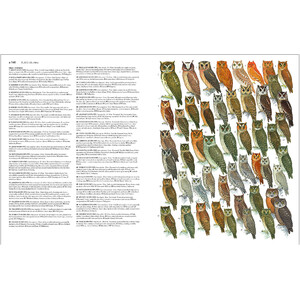 COLLINS BIRDS OF THE WORLD. ALL 10.711 SPECIES ILLUSTRATED_1