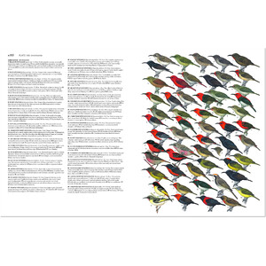 COLLINS BIRDS OF THE WORLD. ALL 10.711 SPECIES ILLUSTRATED 3