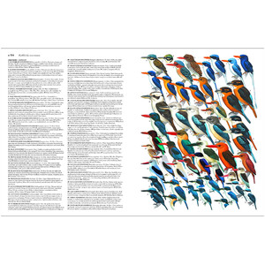 COLLINS BIRDS OF THE WORLD. ALL 10.711 SPECIES ILLUSTRATED 4