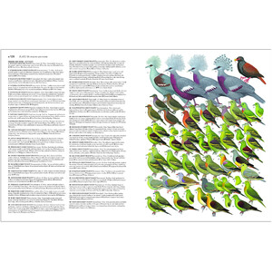 COLLINS BIRDS OF THE WORLD. ALL 10.711 SPECIES ILLUSTRATED 5