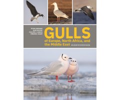 GULLS OF EUROPE, NORTH AFRICA, AND THE MIDDLE EAST. AN IDENTIFICATION GUIDE