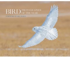 BIRD PHOTOGRAPHER OF THE YEAR. COLLECTION 6