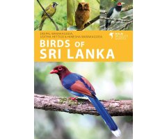 HELM WILDLIFE GUIDES. BIRDS OF SRI LANKA