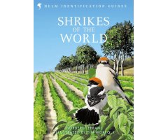 HELM IDENTIFICATION GUIDES. SHRIKES OF THE WORLD