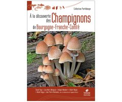 A LA DÉCOUVERTE DES CHAMPIGNONS DE BOURGOGNE-FRANCHE-COMTÉ