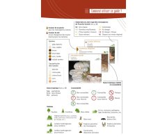 A LA DÉCOUVERTE DES CHAMPIGNONS DE BOURGOGNE-FRANCHE-COMTÉ 2