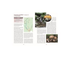 A LA DÉCOUVERTE DES CHAMPIGNONS DE BOURGOGNE-FRANCHE-COMTÉ 3