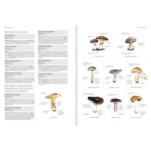 LE GRAND LIVRE DE LA NATURE_1