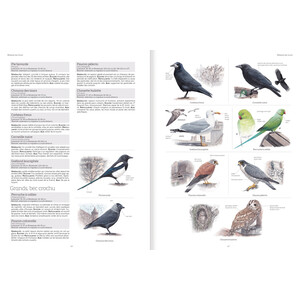 LE GRAND LIVRE DE LA NATURE 3