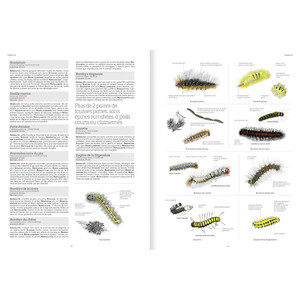 LE GRAND LIVRE DE LA NATURE 4