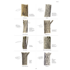 LE GRAND LIVRE DE LA NATURE 5