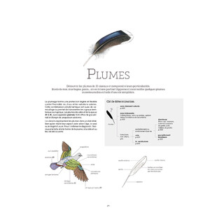 LE GRAND LIVRE DE LA NATURE 6
