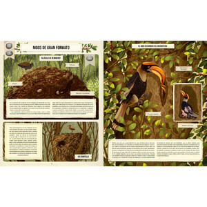 CONSTRUCCIONS ANIMALS_1