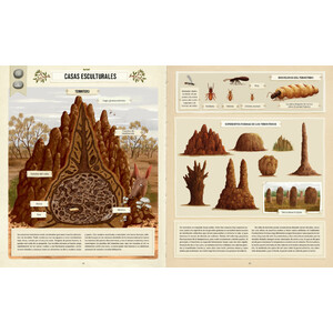 CONSTRUCCIONS ANIMALS 3