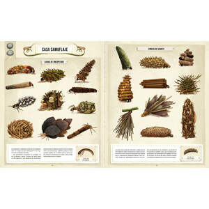 CONSTRUCCIONES ANIMALES 4