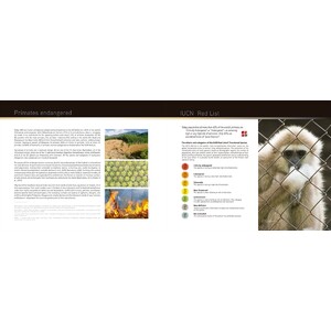 ALL ASIAN PRIMATES_1