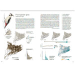 ATLES DELS OCELLS NIDIFICANTS DE CATALUNYA. DISTRIBUCIÓ I ABUNDÀNCIA 2015-2018 I CANVI DES DE 1980 / CATALAN BREEDING BIRD ATLAS. DISTRIBUTION AND ABU_1