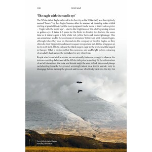 WILD MULL. A NATURAL HISTORY OF THE ISLAND AND ITS PEOPLE_1