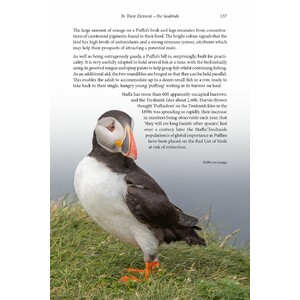 WILD MULL. A NATURAL HISTORY OF THE ISLAND AND ITS PEOPLE 4