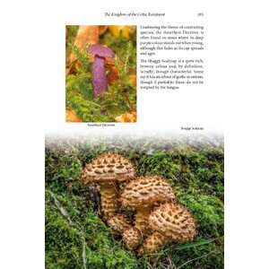 WILD MULL. A NATURAL HISTORY OF THE ISLAND AND ITS PEOPLE 6