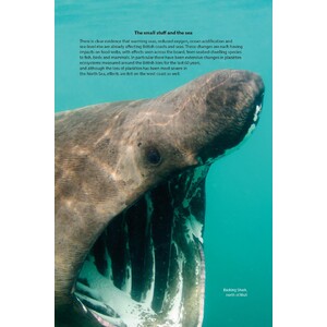 WILD MULL. A NATURAL HISTORY OF THE ISLAND AND ITS PEOPLE 7