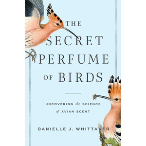 THE SECRET PERFUME OF BIRDS. UNCOVERING THE SCIENCE OF AVIAN SCENT