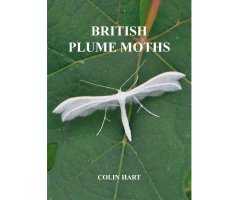 BRITISH CRANEFLIES