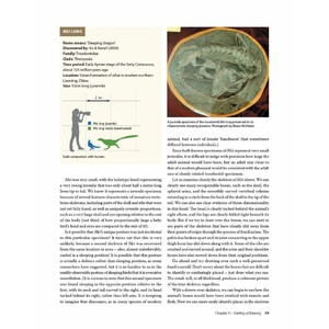 DRAWING AND PAINTING DINOSAURS 3