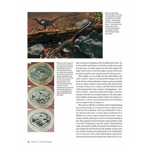 DRAWING AND PAINTING DINOSAURS 4