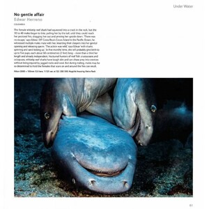 WILDLIFE PHOTOGRAPHER OF THE YEAR. PORTFOLIO 31 3