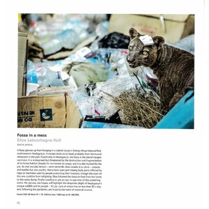 WILDLIFE PHOTOGRAPHER OF THE YEAR. PORTFOLIO 31 4