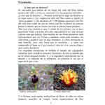 CLAVES ILUSTRADAS DE LAS FLORES DEL VALLE DEL EBRO 4