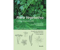 FLORA VEGETATIVA