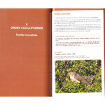 AVETIMOLOGIA. EL ORIGEN DE LOS NOMBRES DE LAS AVES DE EUROPA_1
